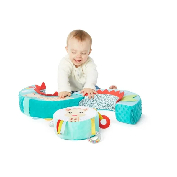 Motor-Skills-Wheel-Sophie