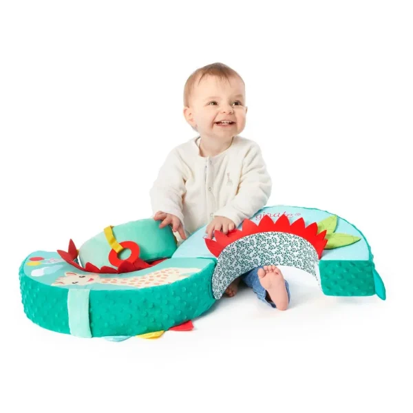 Motor-Skills-Wheel-Sophie