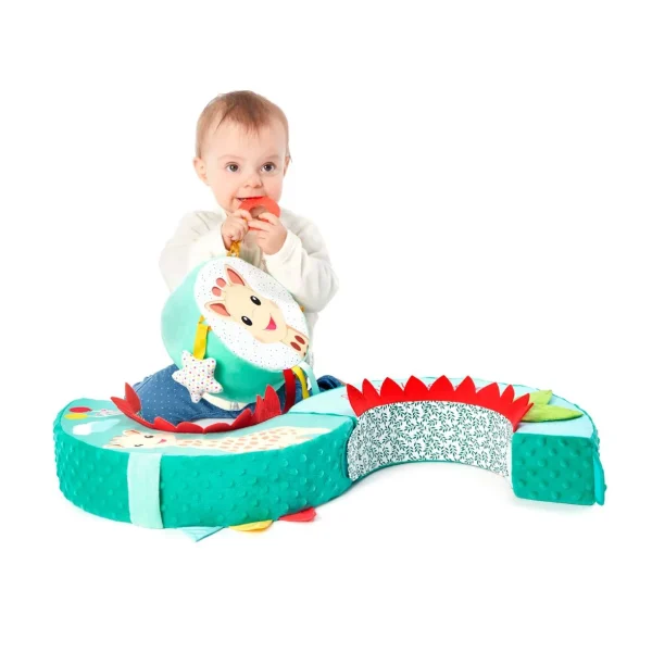 Motor-Skills-Wheel-Sophie