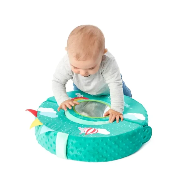 Motor-Skills-Wheel-Sophie