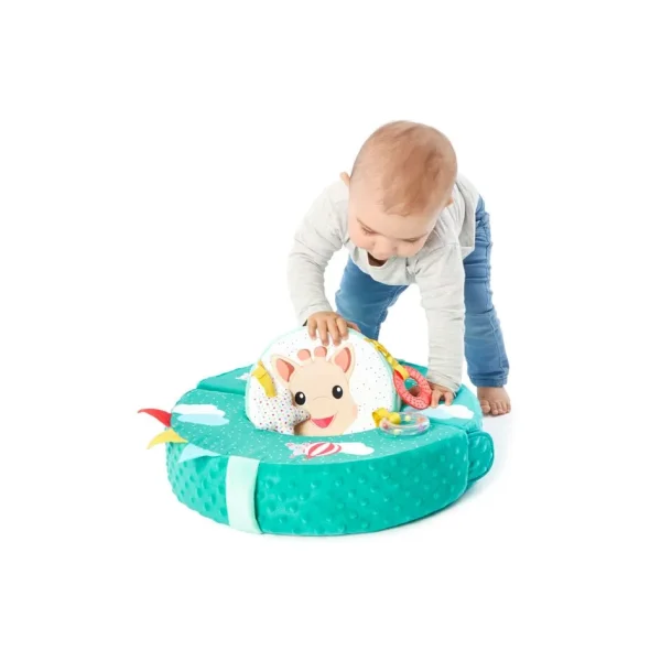 Motor-Skills-Wheel-Sophie
