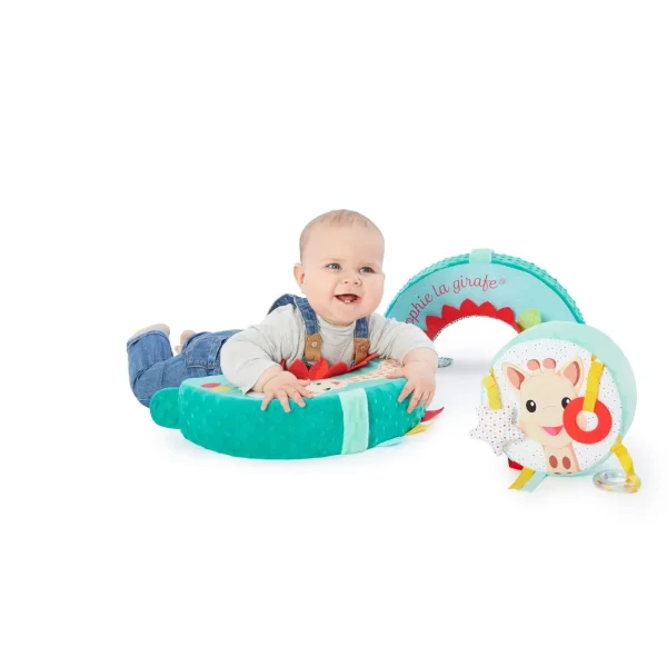 Motor-Skills-Wheel-Sophie