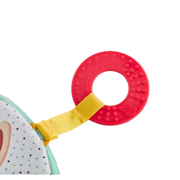 Motor-Skills-Wheel-Sophie
