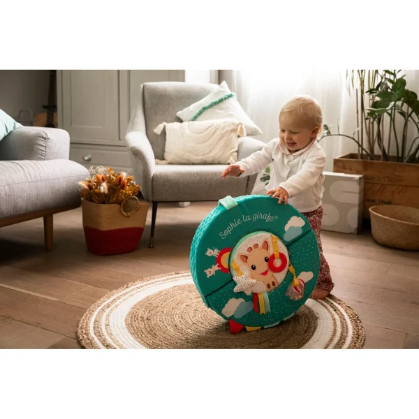 Motor-Skills-Wheel-Sophie