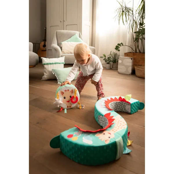 Motor-Skills-Wheel-Sophie
