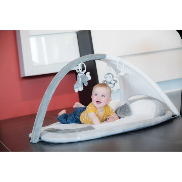 Bo-jungle-gym-apple-grey