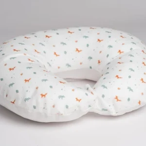 Εγκυμοσύνη-Θηλασμός